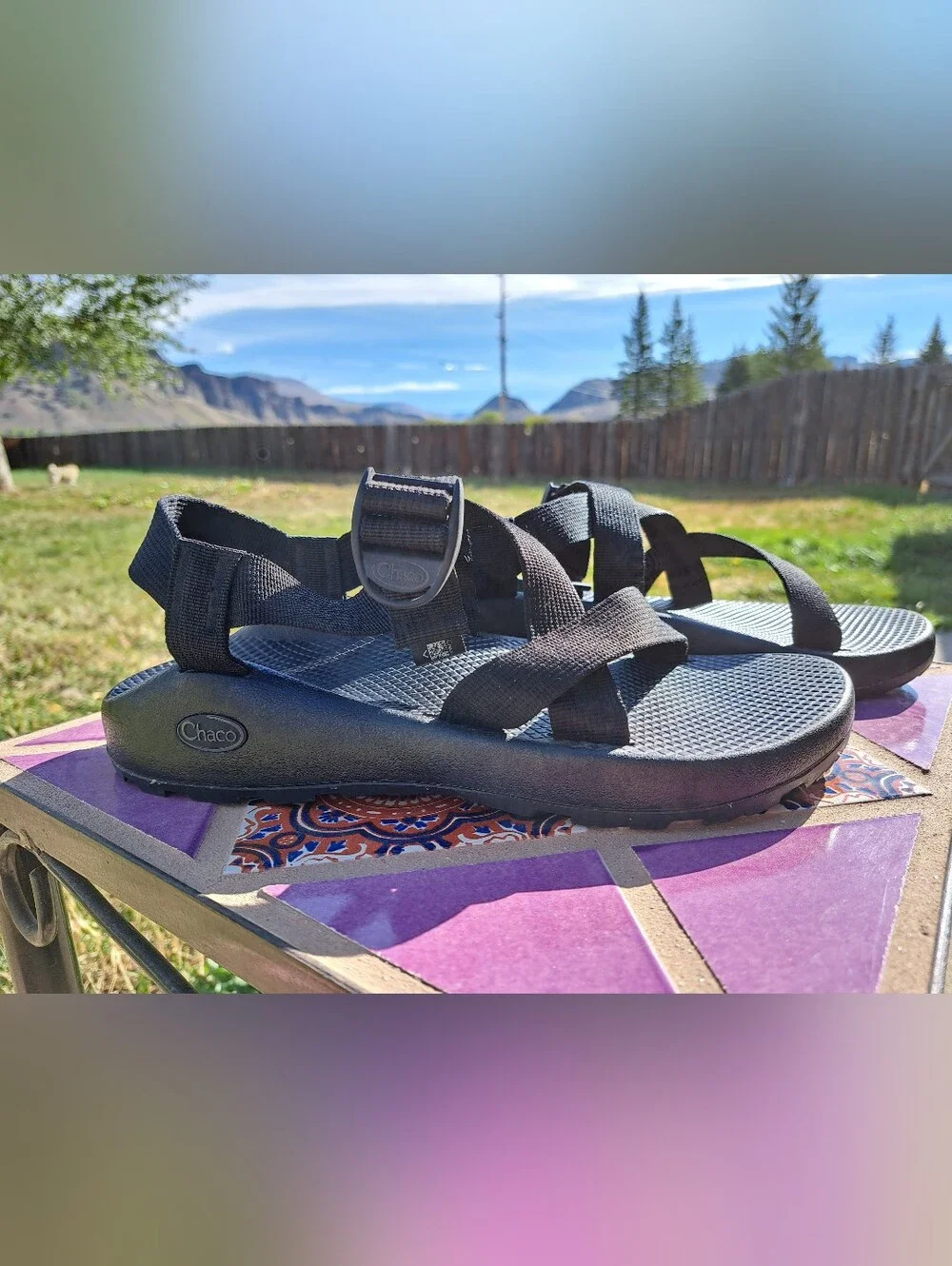 Men's Z/1 Adjustable Chaco Classic Sandal, Size 10